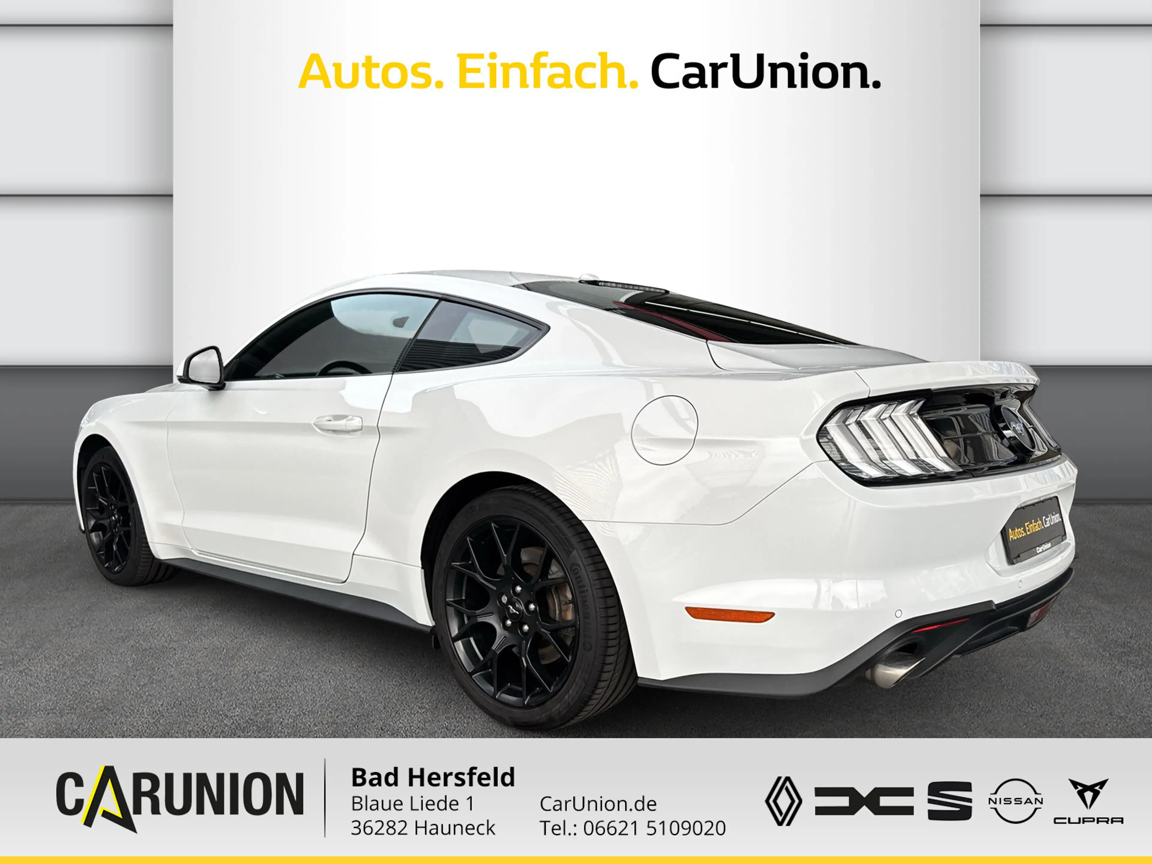 Ford Mustang Fastback 2.3 EcoBoost Winter-Sommerreif. — photo 6