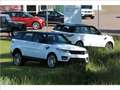 Land Rover Defender 3.5 V8 ST WGN 110 4WD "De Uiver" Special Volledig Gris - thumbnail 46