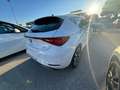SEAT Leon 1.5 tsi FR 130 CV Bianco - thumbnail 6