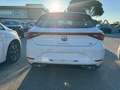 SEAT Leon 1.5 tsi FR 130 CV Bianco - thumbnail 8