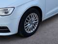 Audi A3 1.6 TDI Ambiente Weiß - thumbnail 6