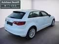 Audi A3 1.6 TDI Ambiente Weiß - thumbnail 3