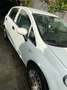 Fiat Punto 1.2i Blanc - thumbnail 3