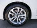 Audi Q7 S line 45 TDI*4X4*AHK*LED*7-SITZE*20 ZOLL*PANO*KAM Weiß - thumbnail 3