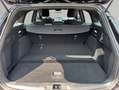 Ford Focus Turnier 1.5 EcoBlue Start-Stopp-System Aut. Schwarz - thumbnail 4