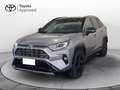 Toyota RAV 4 2.5 vvt-ie hybrid Style awd-i e-cvt my19 Argento - thumbnail 1