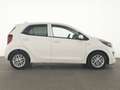 Kia Picanto Vision NavigationSHZ|Radio&KlimaPaket Blanc - thumbnail 5