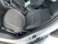 Ford Kuga Plug-In Hybrid Titanium 225 AT/PANO/AHK/ Weiß - thumbnail 10