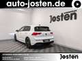Volkswagen Golf VIII R PANO Discover-Pro IQ-Light HUD DCC Blanco - thumbnail 3