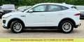 Jaguar E-Pace E-PACE Basis AWD Weiß - thumbnail 13