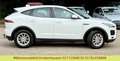 Jaguar E-Pace E-PACE Basis AWD Weiß - thumbnail 12