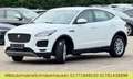 Jaguar E-Pace E-PACE Basis AWD Weiß - thumbnail 8