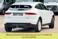 Jaguar E-Pace E-PACE Basis AWD Weiß - thumbnail 7