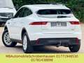Jaguar E-Pace E-PACE Basis AWD Weiß - thumbnail 6