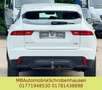 Jaguar E-Pace E-PACE Basis AWD Weiß - thumbnail 10