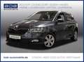Skoda Fabia 1.0 MPI Cool Plus SHZ PDC KLIMA BT ZV Gris - thumbnail 1