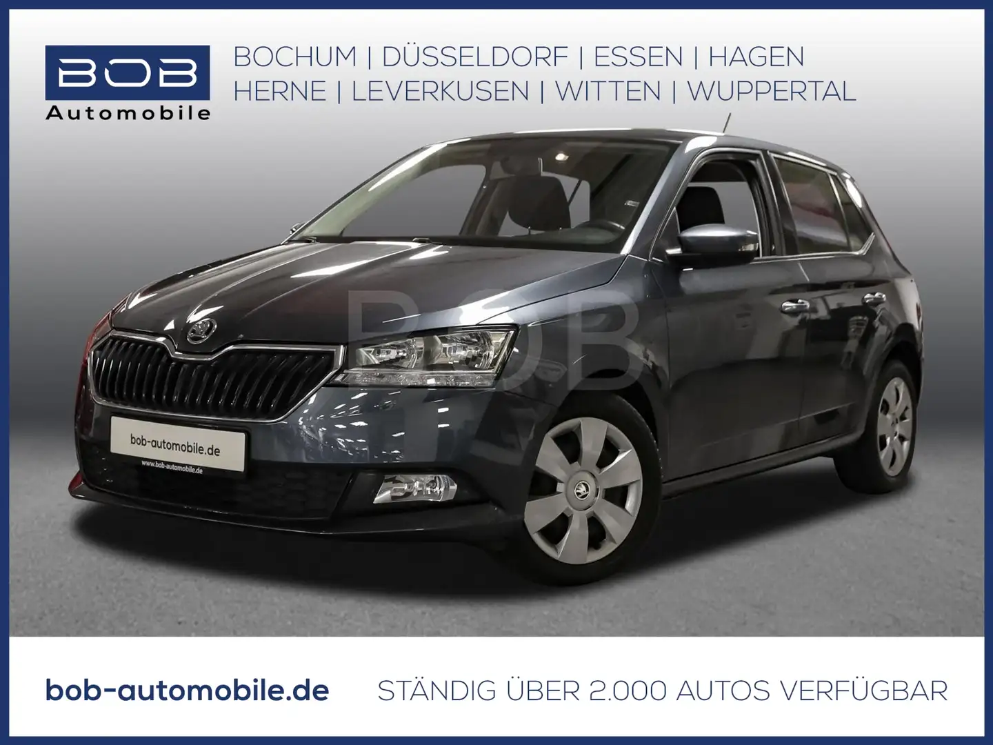 Skoda Fabia 1.0 MPI Cool Plus SHZ PDC KLIMA BT ZV Gris - 1