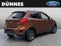 Ford Ka/Ka+ + 1.2 Active Braun - thumbnail 2