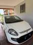 Fiat Punto Evo Punto Evo 3p 1.2 MyLife s Bianco - thumbnail 1