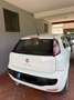Fiat Punto Evo Punto Evo 3p 1.2 MyLife s Bianco - thumbnail 4