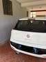 Fiat Punto Evo Punto Evo 3p 1.2 MyLife s Bianco - thumbnail 3