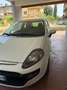 Fiat Punto Evo Punto Evo 3p 1.2 MyLife s Bianco - thumbnail 5