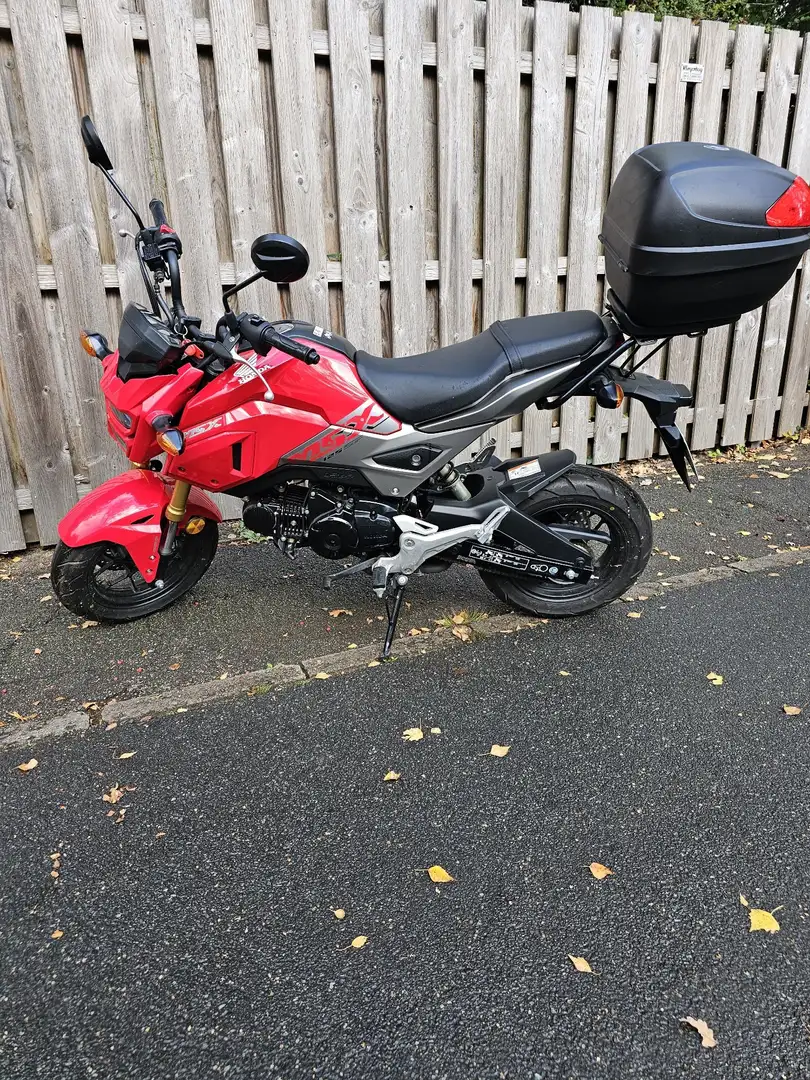 Honda MSX 125 Nur 573 Km Laufleistung ! Rouge - 2