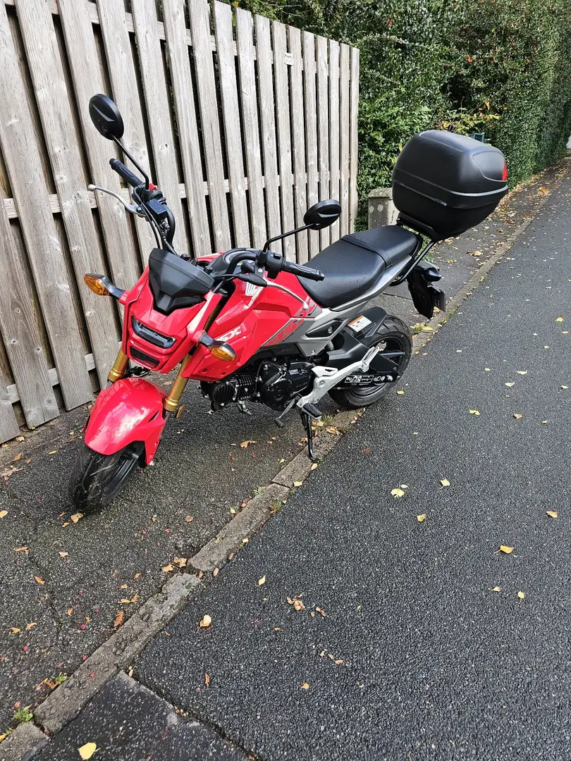 Honda MSX 125 Nur 573 Km Laufleistung ! Rouge - 1