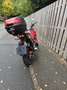 Honda MSX 125 Nur 573 Km Laufleistung ! Rouge - thumbnail 4