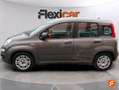 Fiat Panda Hybrid 1.0 Gse 51kw (70CV) Gris - thumbnail 4
