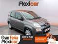 Fiat Panda Hybrid 1.0 Gse 51kw (70CV) Gris - thumbnail 1