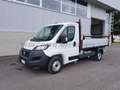 Fiat Ducato ducato 35 MH1 2.2 mjt3 140cv ribalt.trilat Blanc - thumbnail 1