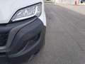 Fiat Ducato ducato 35 MH1 2.2 mjt3 140cv ribalt.trilat Blanc - thumbnail 8
