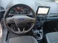 Ford EcoSport 1.5 tdci Plus 95cv E6 Бежевий - thumbnail 5