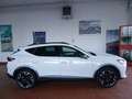 CUPRA Formentor Formentor 1.4 e-hybrid 204cv dsg TETTO APRIBILE Bianco - thumbnail 2