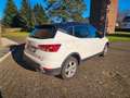 SEAT Arona FR Black Edition 1,0 TSI DSG Weiß - thumbnail 3