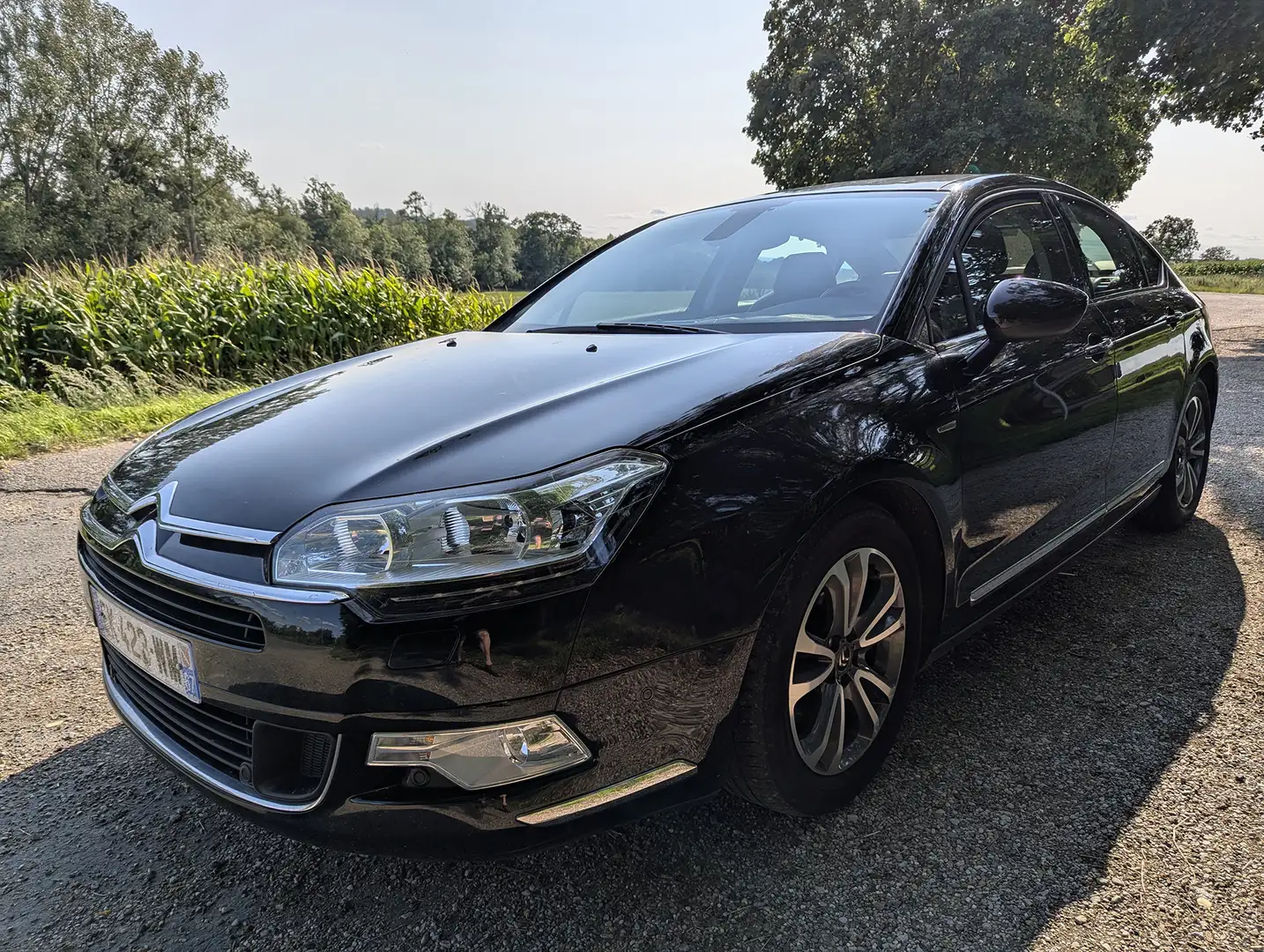 Citroen C5 C5 BlueHDi 180 S - 1