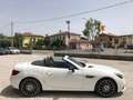 Mercedes-Benz SLC 200 AMG LINE Blanco - thumbnail 13