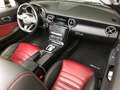 Mercedes-Benz SLC 200 AMG LINE Blanco - thumbnail 7