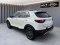 Kia Stonic STONIC 1.0T 100 48V Nightline Edition Weiß - thumbnail 14