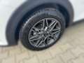 Kia Stonic STONIC 1.0T 100 48V Nightline Edition Weiß - thumbnail 6