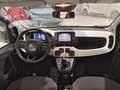 Fiat Panda 1.0 FireFly 70cv S&S Hybrid Pandina Verde - thumbnail 8