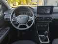 Dacia Sandero Stepway Expression ECO-G 100 *LPG* *Tempomat* Grau - thumbnail 6