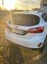Ford Fiesta Fiesta Active 2018 Active 1.0 ecoboost s Bianco - thumbnail 9
