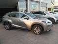 Lexus NX 300 300h Corporate 2WD + Navibox Gris - thumbnail 7