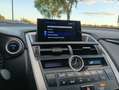 Lexus NX 300 300h Corporate 2WD + Navibox Gris - thumbnail 23