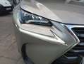 Lexus NX 300 300h Corporate 2WD + Navibox Gris - thumbnail 33