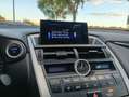 Lexus NX 300 300h Corporate 2WD + Navibox Gris - thumbnail 25
