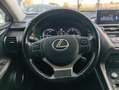Lexus NX 300 300h Corporate 2WD + Navibox Gris - thumbnail 16