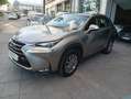 Lexus NX 300 300h Corporate 2WD + Navibox Gris - thumbnail 2